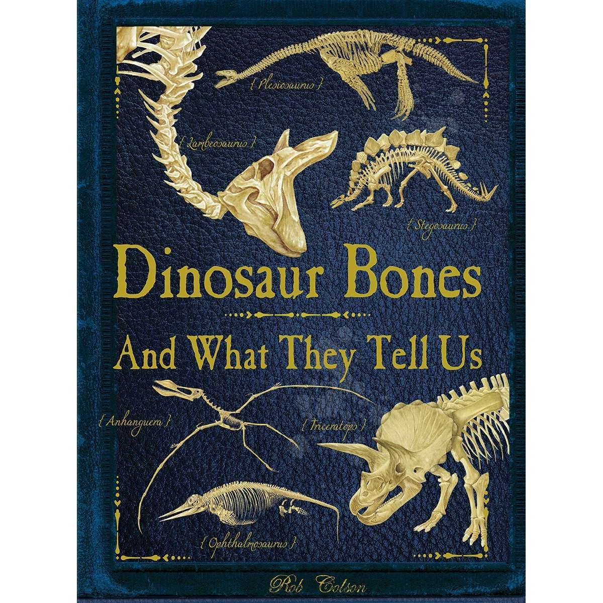 Paradise Clay FFB153 Dinosaur Bones: And What They Tell Us - Book