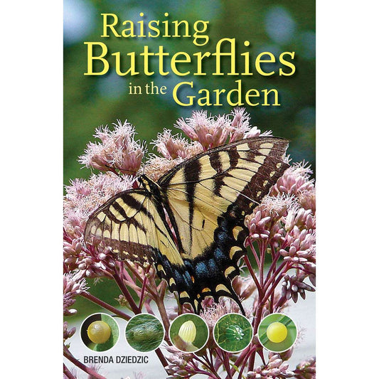 Paradise Clay FFB160 Raising Butterflies in the Garden - Book