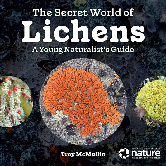 Paradise Clay FFB176 The Secret World of Lichens: A Young Naturalist's Guide - Book