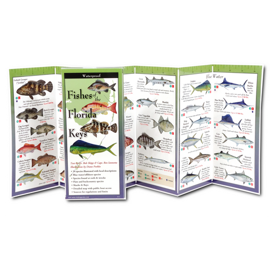 Paradise Clay FGG003 Fishes of the Florida Keys - Folding Guide