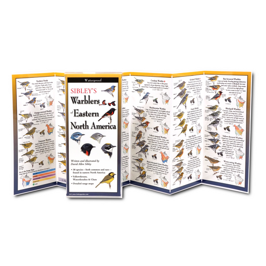 Paradise Clay FGG036 Sibley’s Warblers of Eastern North America - Folding Pocket Guide