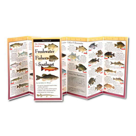 Paradise Clay FGG053 Freshwater Fishes of the Southeast - Folding Pocket Guide