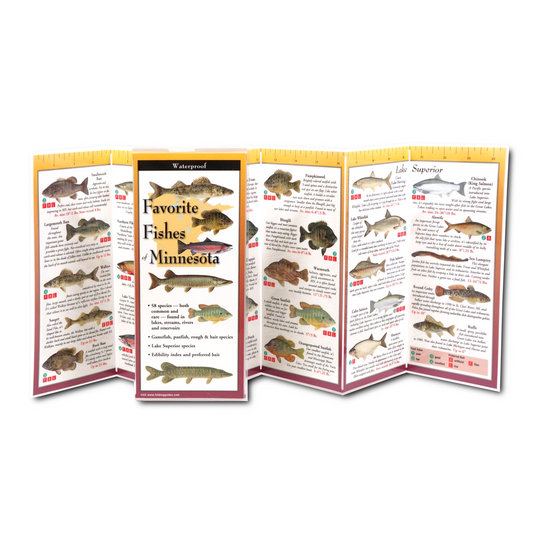 Paradise Clay FGG058 Favorite Fishes of Minnesota - Folding Pocket Guide