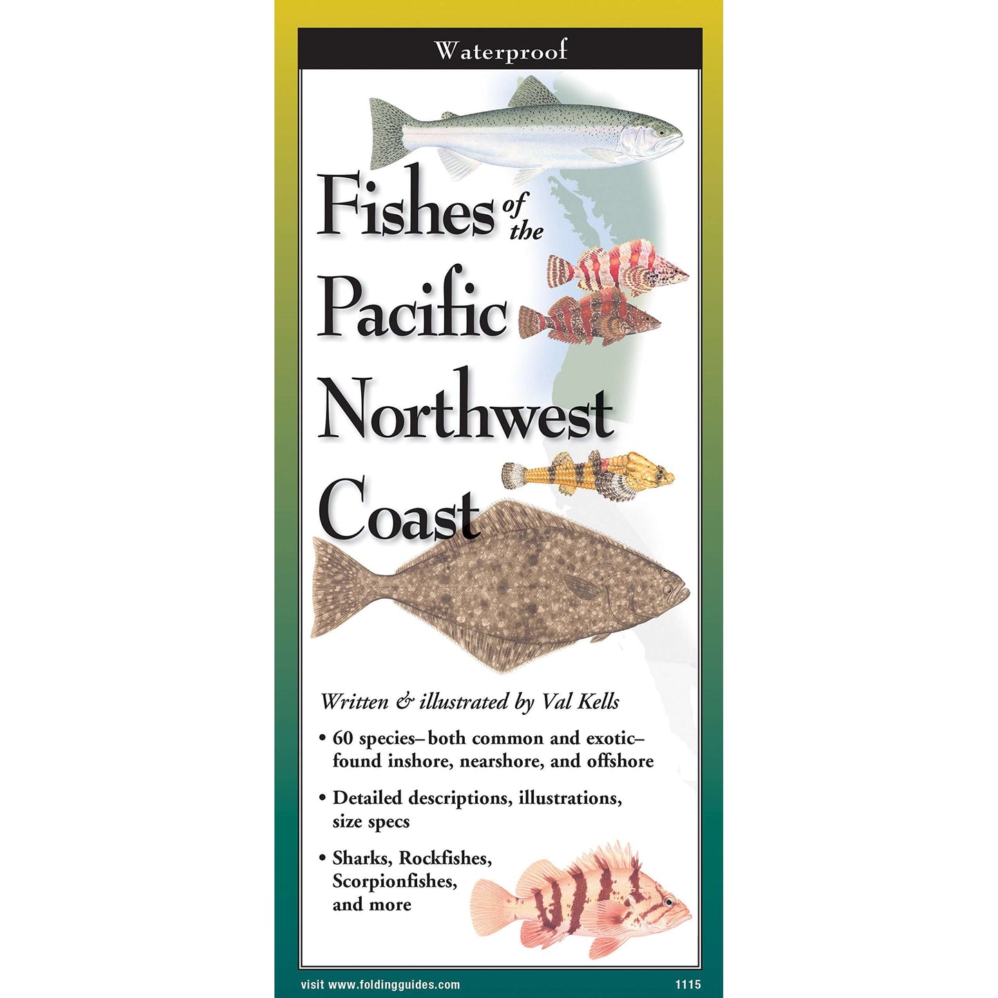 Paradise Clay FGG086 Fishes of The Pacific Northwest Coast - Folding Pocket Guide