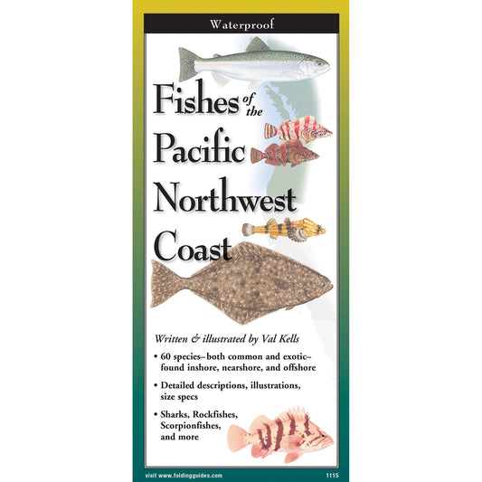 Paradise Clay FGG086 Fishes of The Pacific Northwest Coast - Folding Pocket Guide