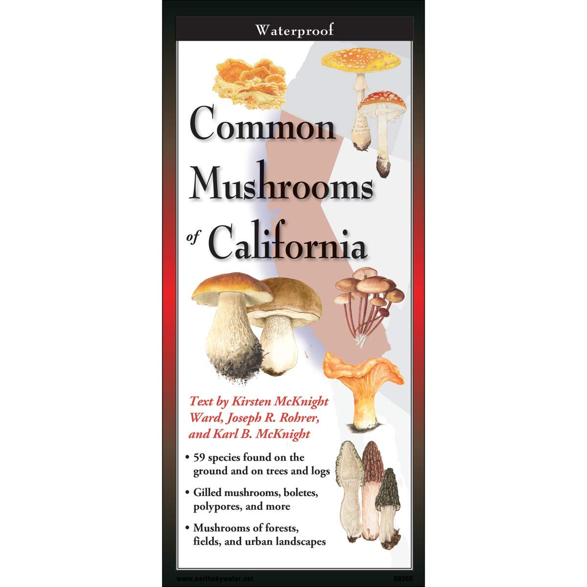 Paradise Clay FGG102 Common Mushrooms of California - Folding Pocket Guide