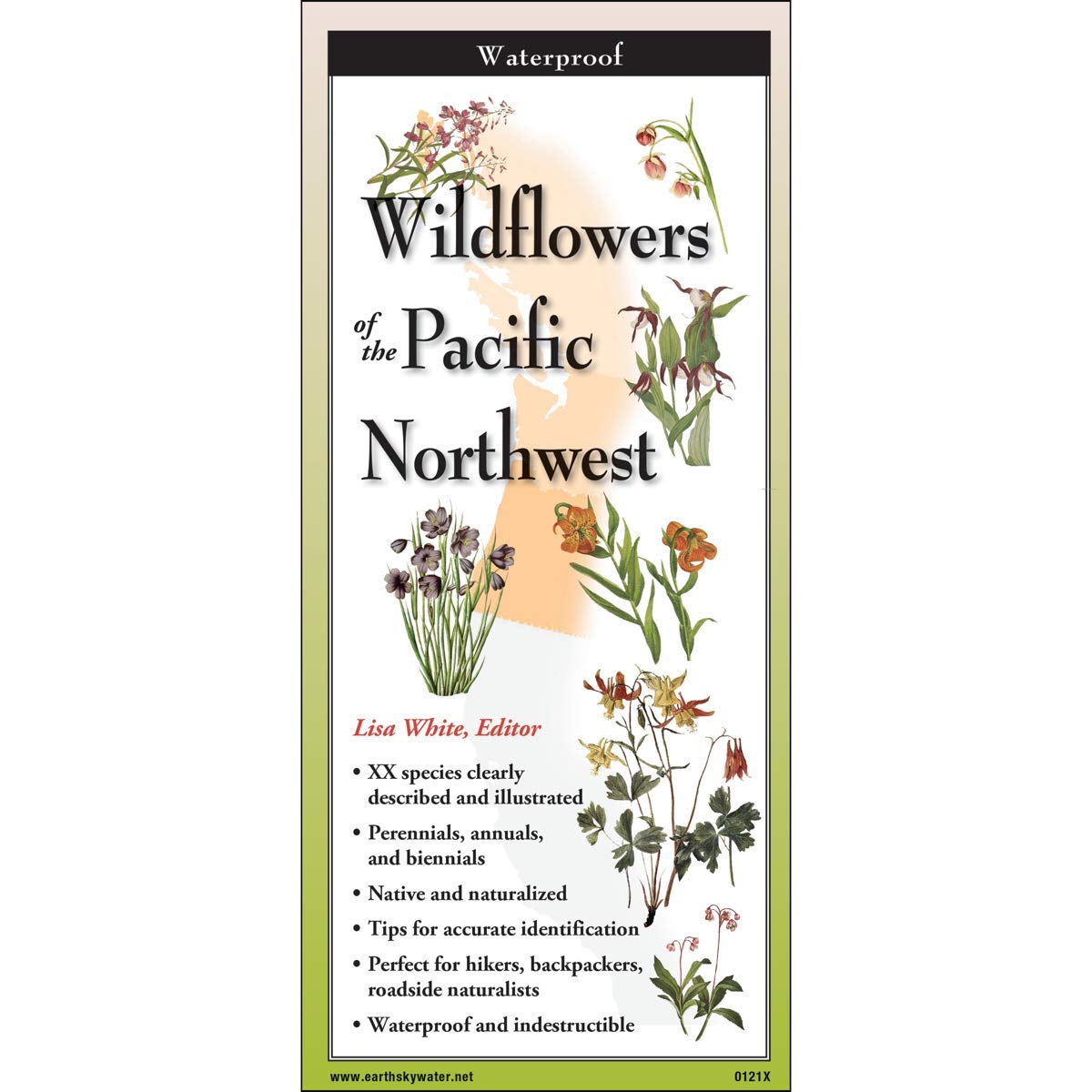 Paradise Clay FGG104 Common Wildflowers of the Pacific Northwest - Folding Pocket Guide