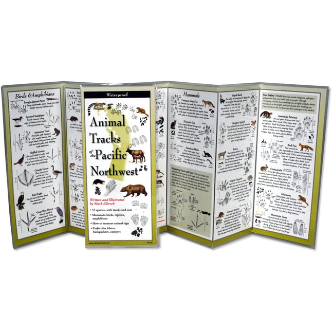 Paradise Clay FGG106 Animal Tracks of the Pacific Northwest - Folding Pocket Guide