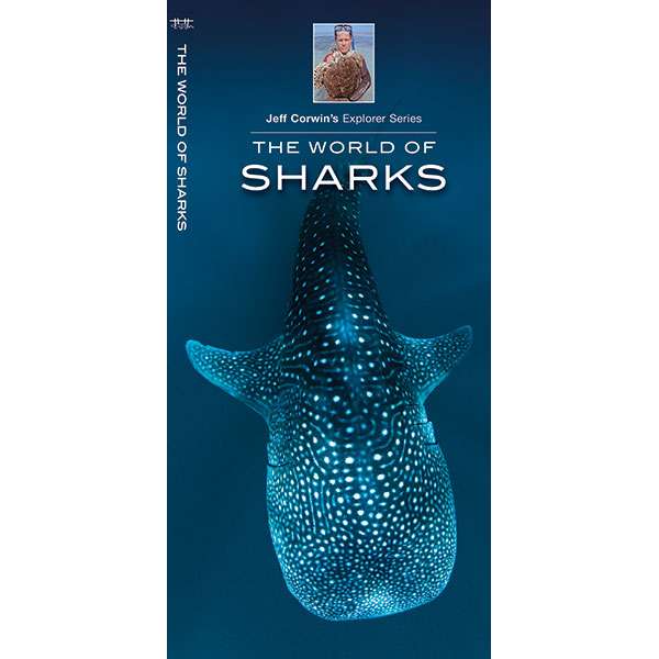 Paradise Clay WFP104 The World of Sharks - Folding Pocket Guide