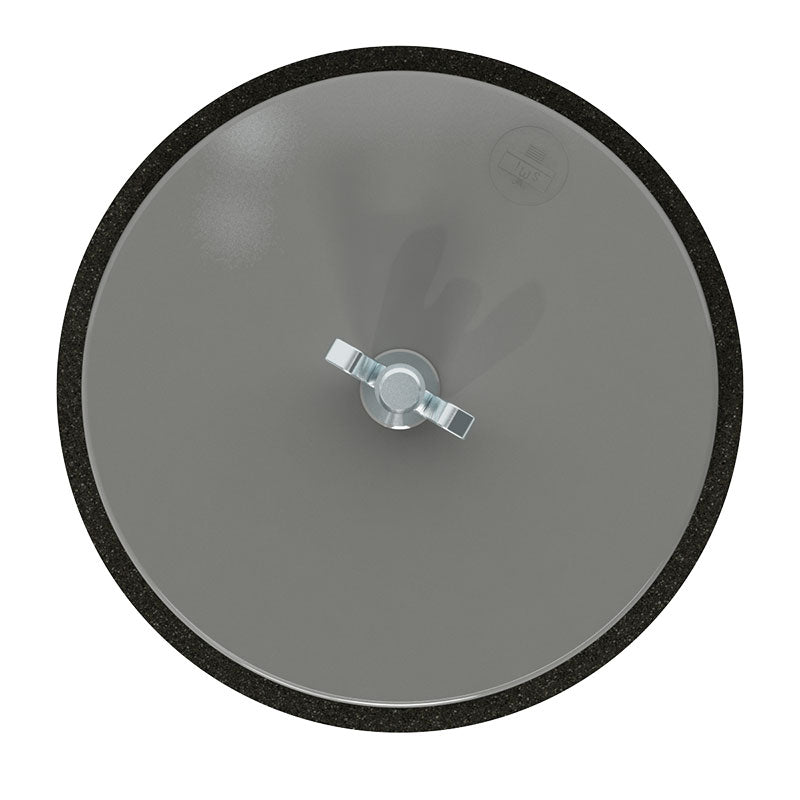 Solberg FT-231P-250 Open Inlet Filter, 2-1/2" MNPT, Polyester Element, 5 Micron