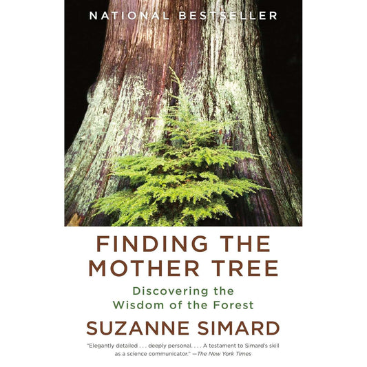 Paradise Clay PGN519 Finding the Mother Tree: Discovering the Wisdom of the Forest - Book
