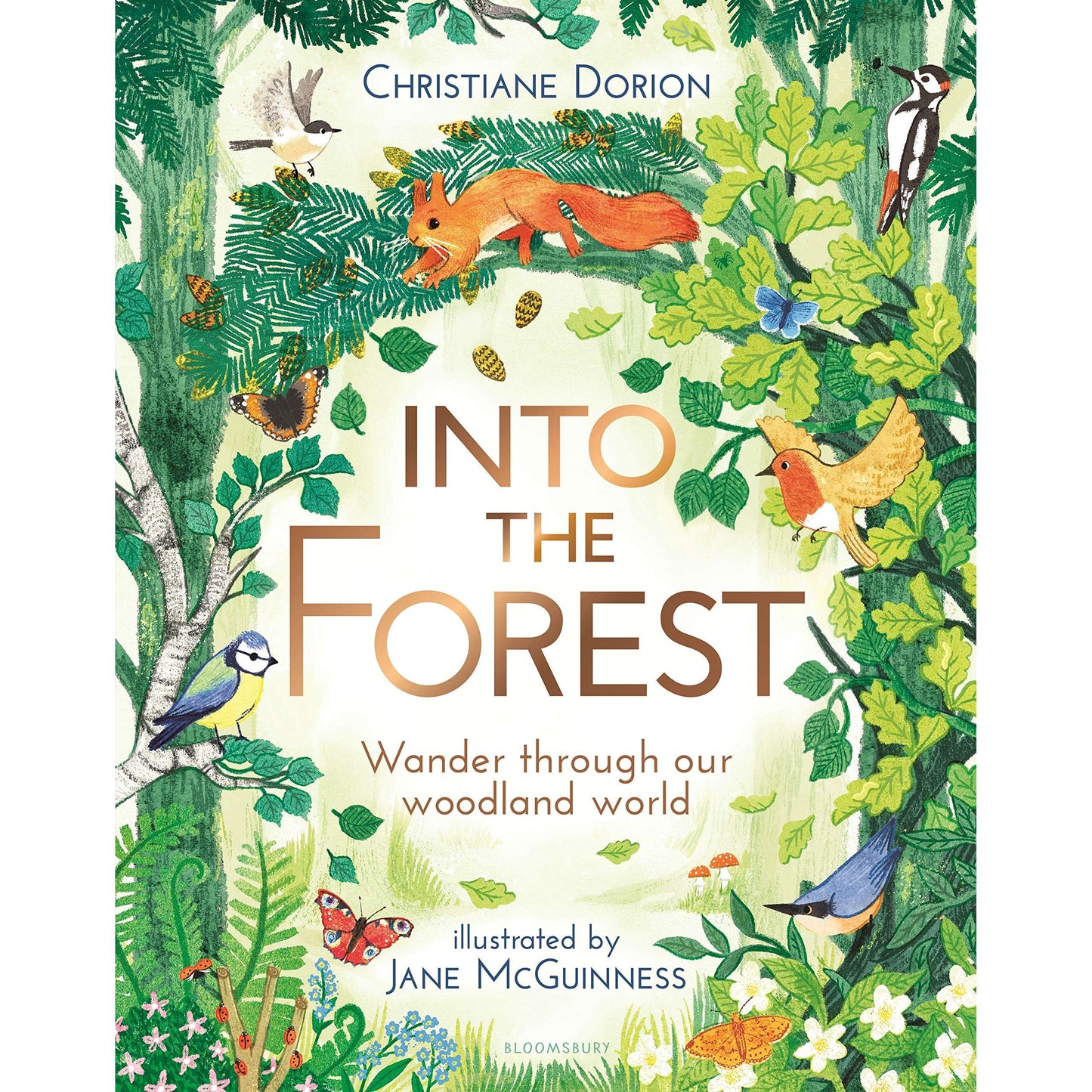 Paradise Clay MPS248 Into The Forest - Book