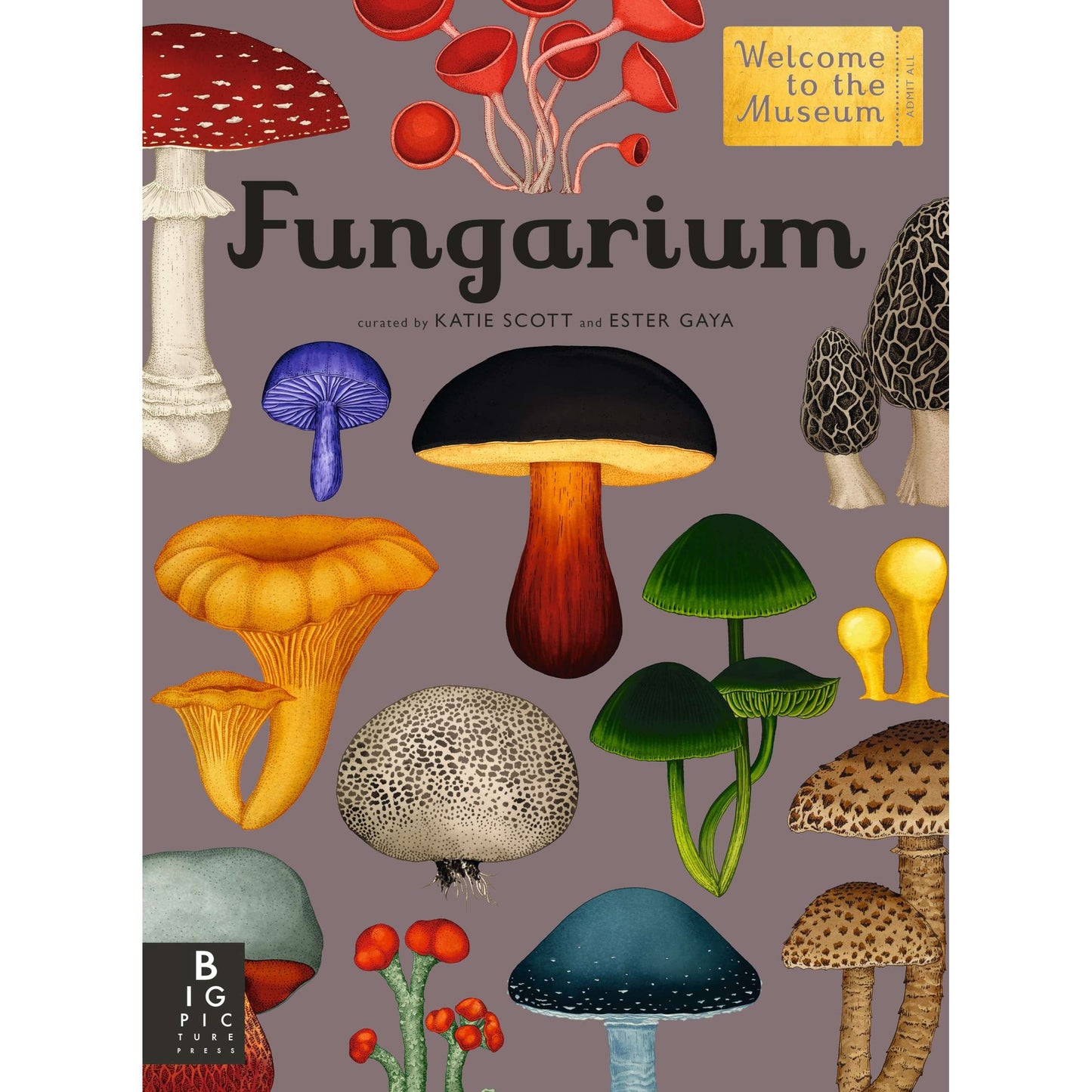 Paradise Clay RAN645 Fungarium: Welcome to the Museum - Book