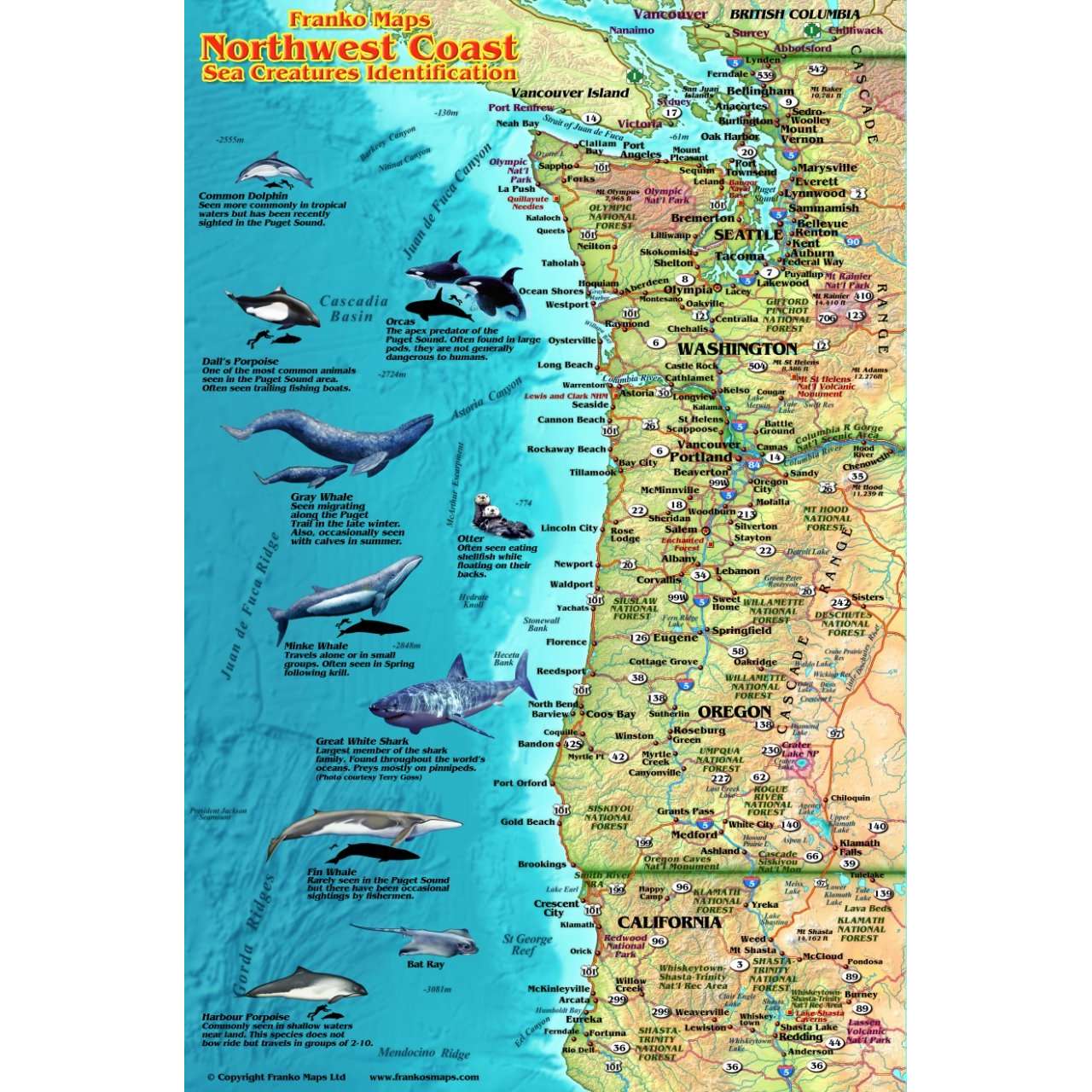 Paradise Clay GPR022 Pacific Northwest Coast Sea Creatures - Laminated Card