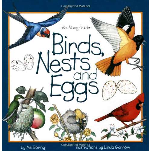 Paradise Clay GPT167 Take-Along Guide: Birds, Nests & Eggs - Book