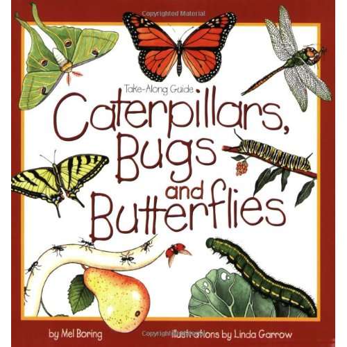 Paradise Clay GPT208 Take-Along Guide: Caterpillars, Bugs and Butterflies - Book