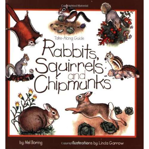Paradise Clay GPT209 Take-Along Guide: Rabbits, Squirrels and Chipmunks - Book