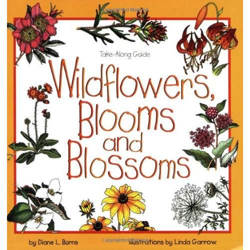 Paradise Clay GPT213 Take-Along Guide: Wildflowers, Blooms & Blossoms - Book