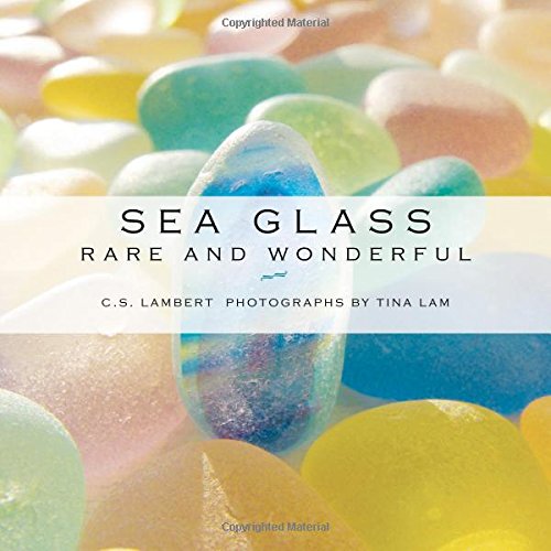 Paradise Clay GPT218 Sea Glass: Rare and Wonderful - Book