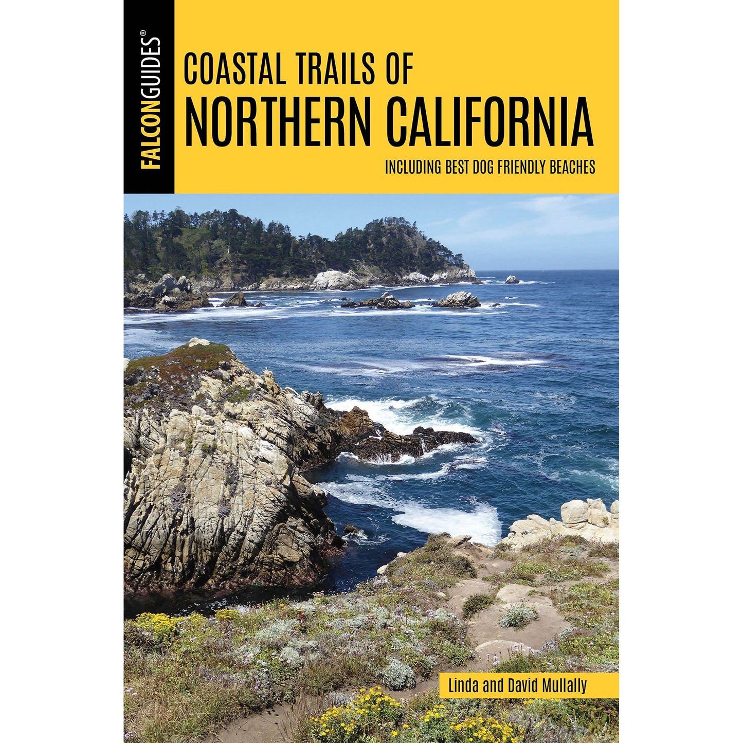 Paradise Clay GPT222 Coastal Trails of Northern California: Including Best Dog Friendly Beaches - Book