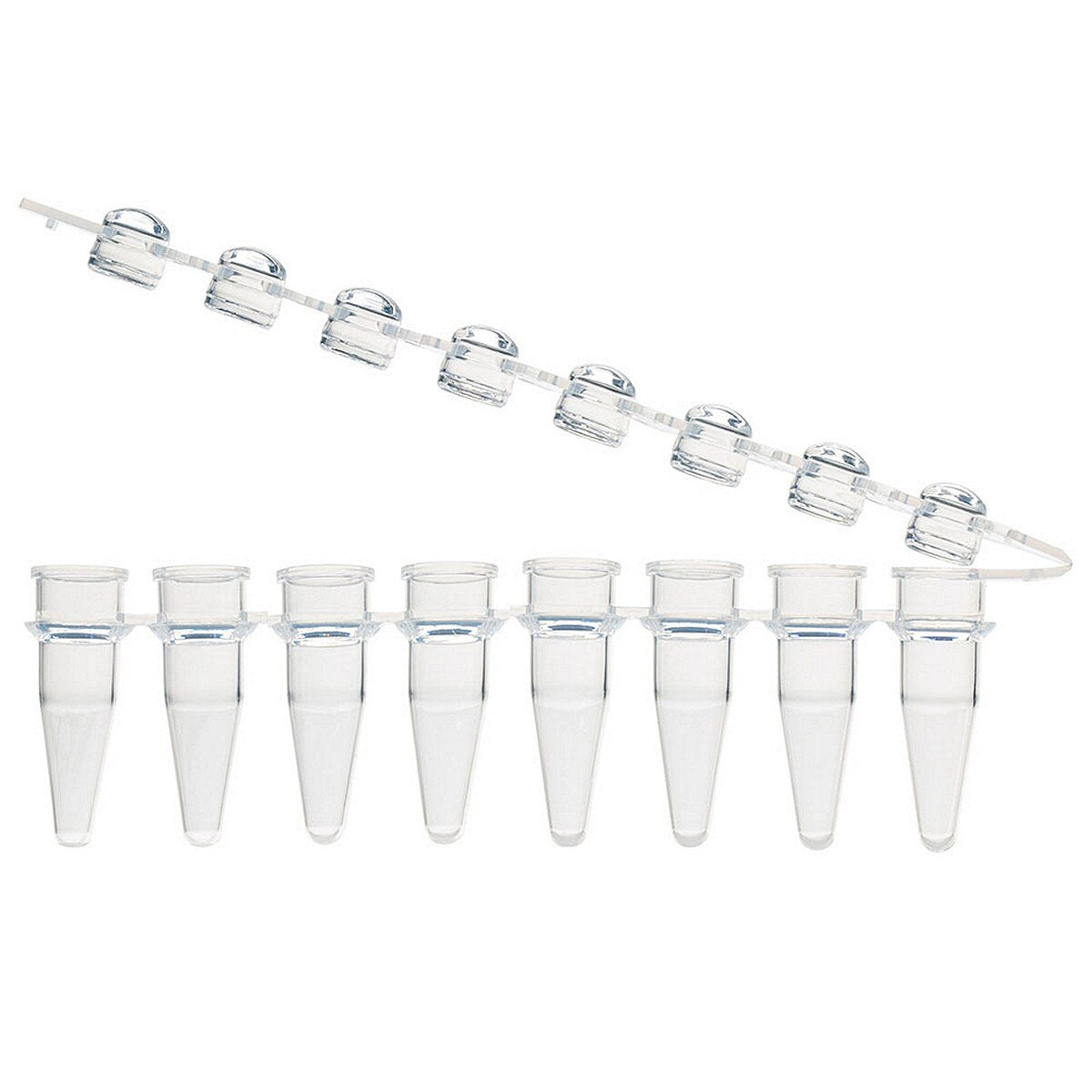 Globe Scientific PCR-STR-02D-ZIP 0.2mL 8-Strip Tubes with Hinged Attached 8-Strip clear Dome caps Natural