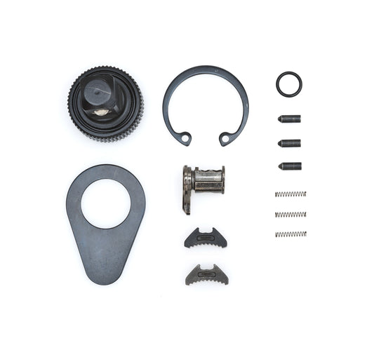 Gearwrench 81099P 1/4" Drive 120XP™ Non-Quick Release Dual Pawl Ratchet Repair Kit