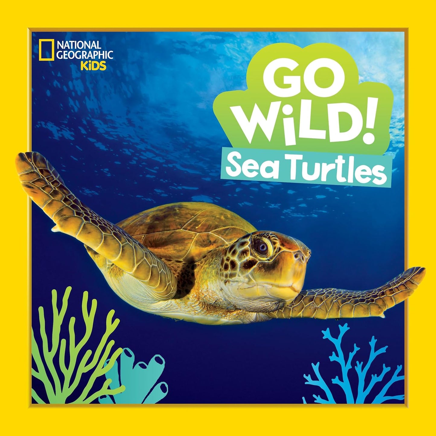Paradise Clay PGN478 Go Wild! Sea Turtles - Book