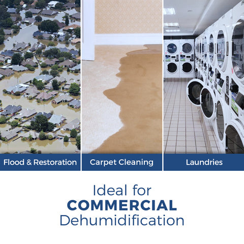 AlorAir Sentinel HD55 Commercial Dehumidifiers for Basements with Drain House, Blue