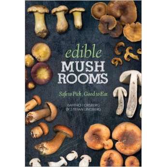 Paradise Clay HHP021 Edible Mushrooms: Safe to Pick, Good to Eat - Book