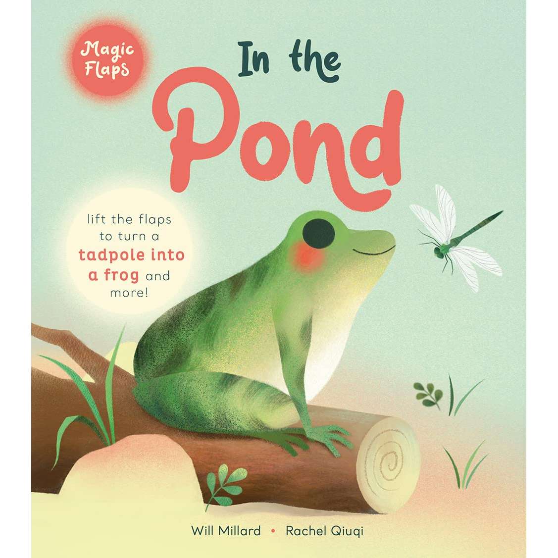 Paradise Clay HNA065 In the Pond: A Magic Flaps Book - Book