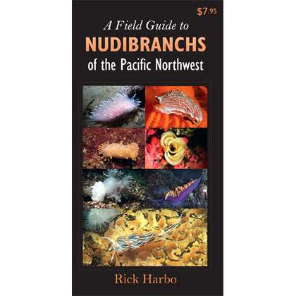 Paradise Clay HPC055 A Field Guide to Nudibranchs of the Pacific Northwest - Folding Pocket Guide
