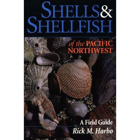Paradise Clay HPC128 Shells & Shellfish of the Pacific Northwest - Book
