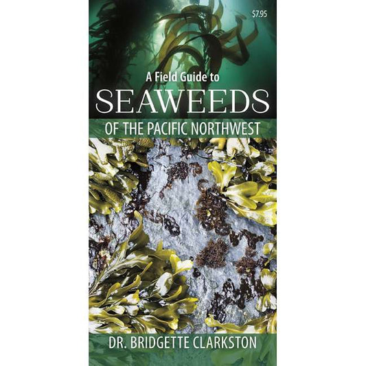 Paradise Clay HPC151 A Field Guide to Seaweeds of the Pacific Northwest - Folding Pocket Guide