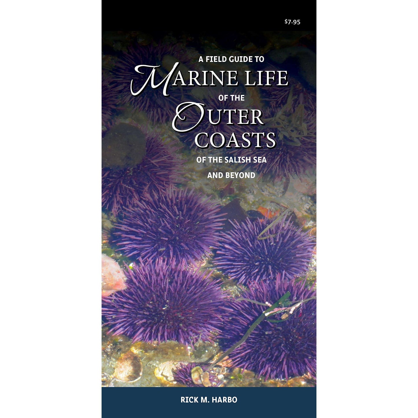 Paradise Clay HPC161 A Field Guide to Marine Life of the Outer Coasts of the Salish Sea and Beyond - Folding Pocket Guide