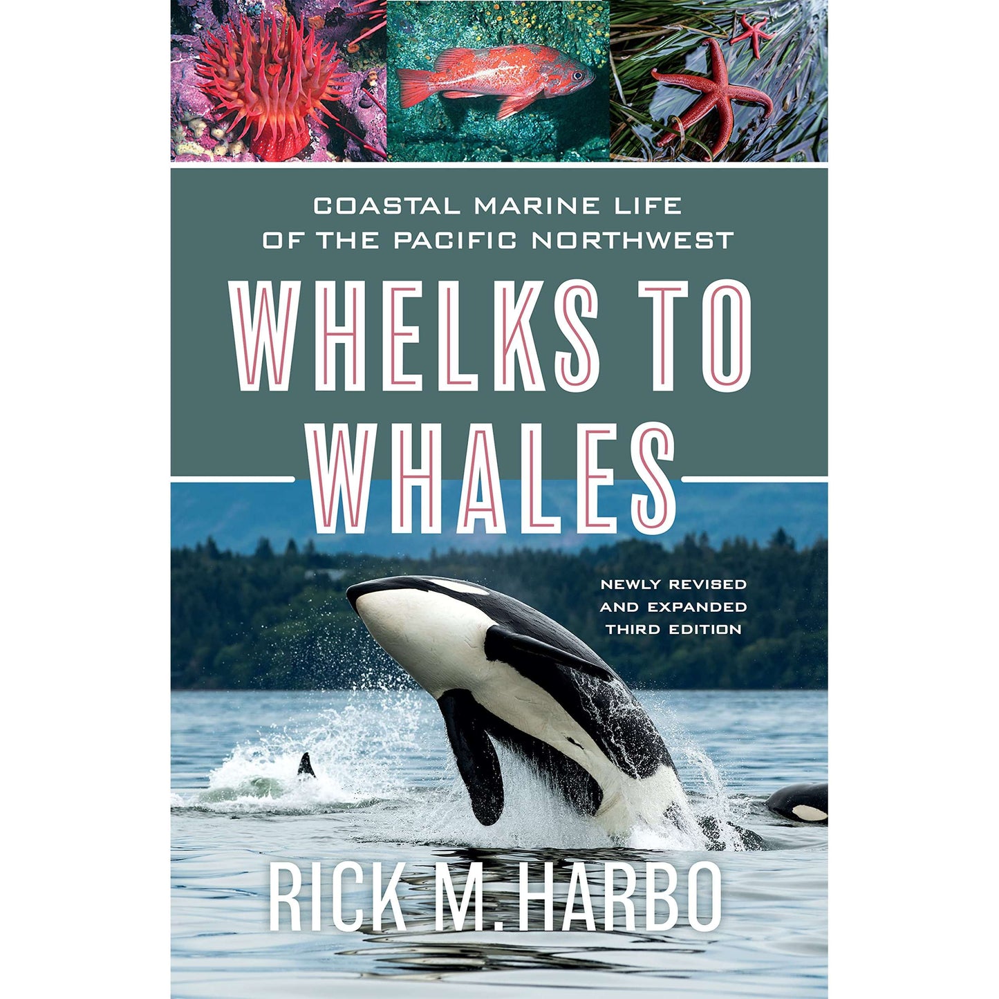 Paradise Clay HPC167 Whelks to Whales: Coastal Marine Life of the Pacific Northwest, Newly Revised and expanded Third edition - Book