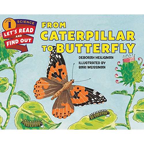 Paradise Clay HRW127 From Caterpillar to Butterfly - Book