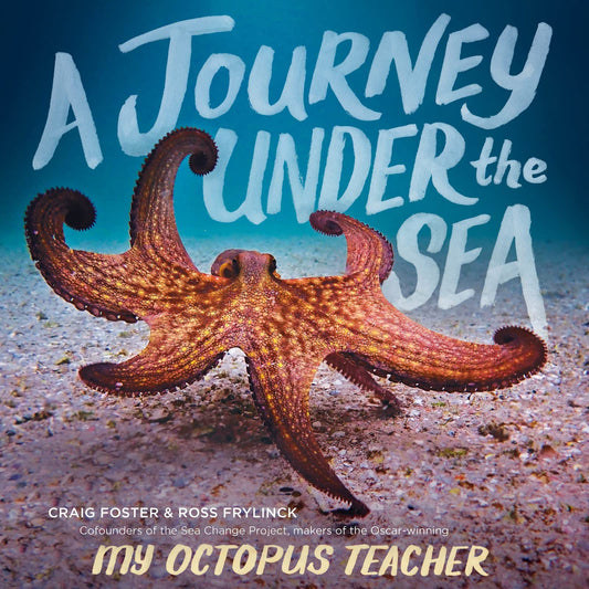 Paradise Clay HRW166 A Journey Under the Sea - Book