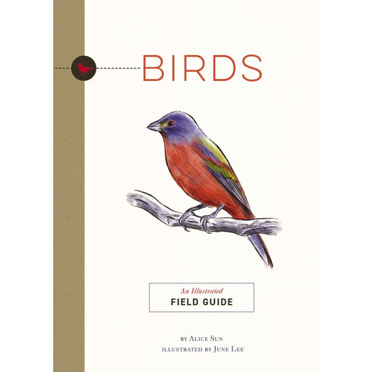 Paradise Clay HRW173 Birds: An Illustrated Field Guide - Book