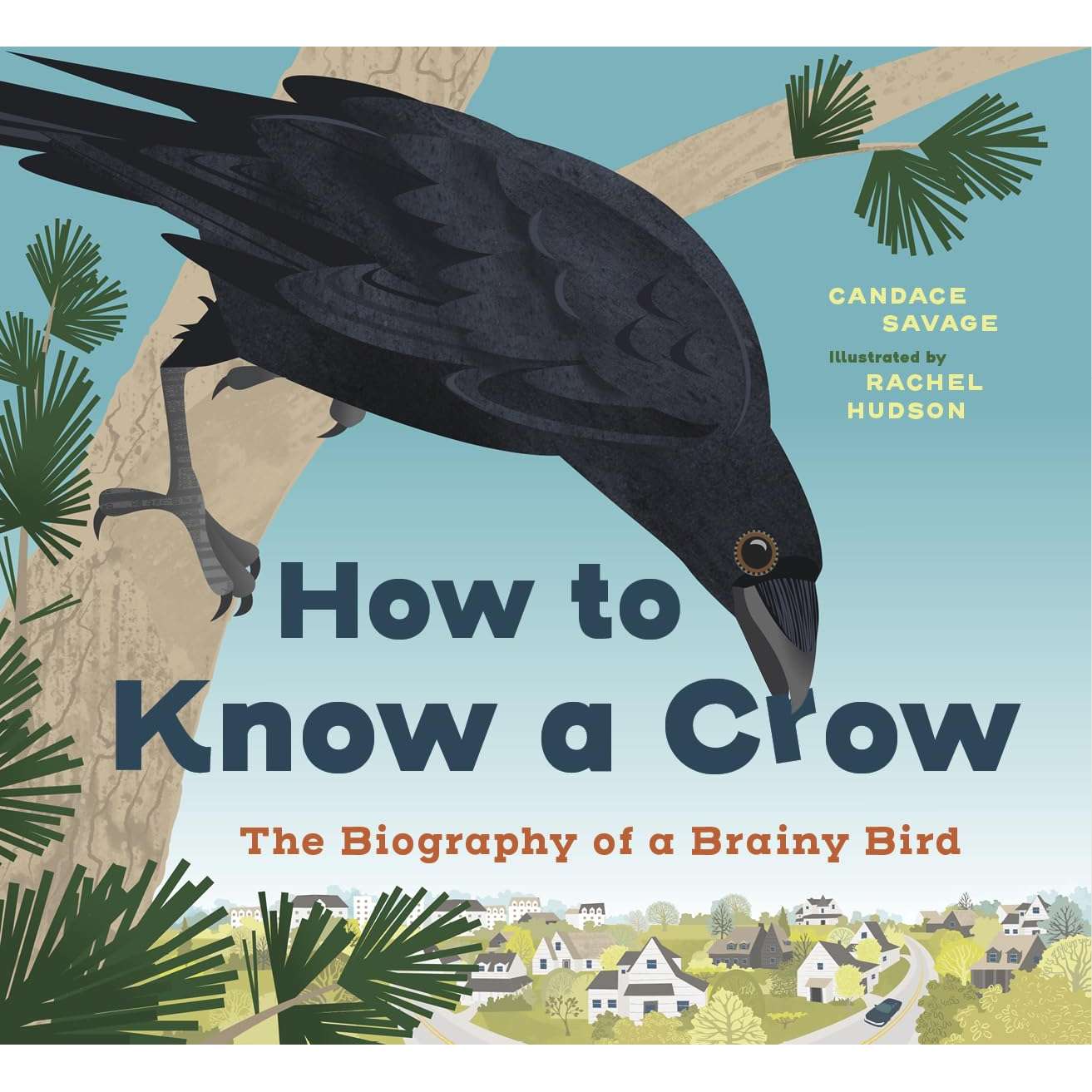 Paradise Clay PGW308 How to Know a Crow: The Biography of a Brainy Bird - Book