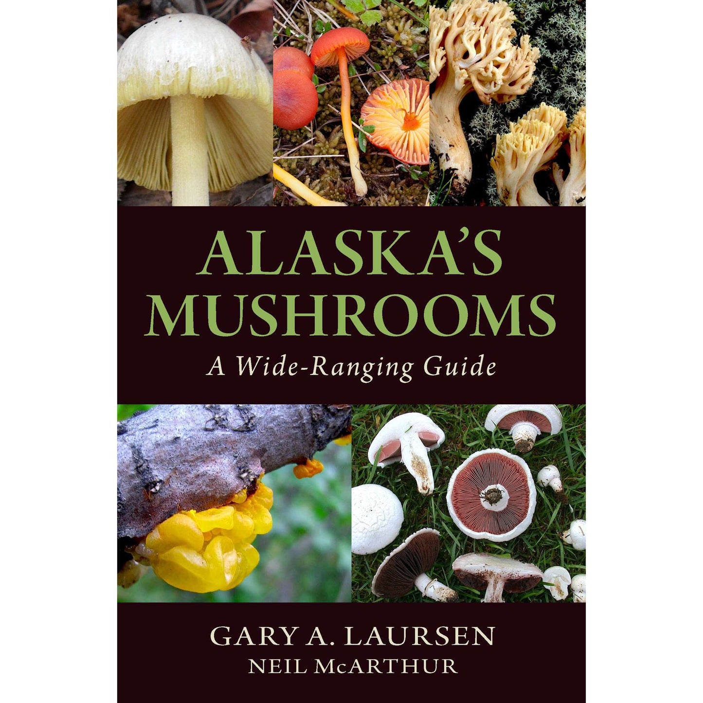 Paradise Clay IPS006 Alaska's Mushrooms: A Wide-Ranging Guide - Book