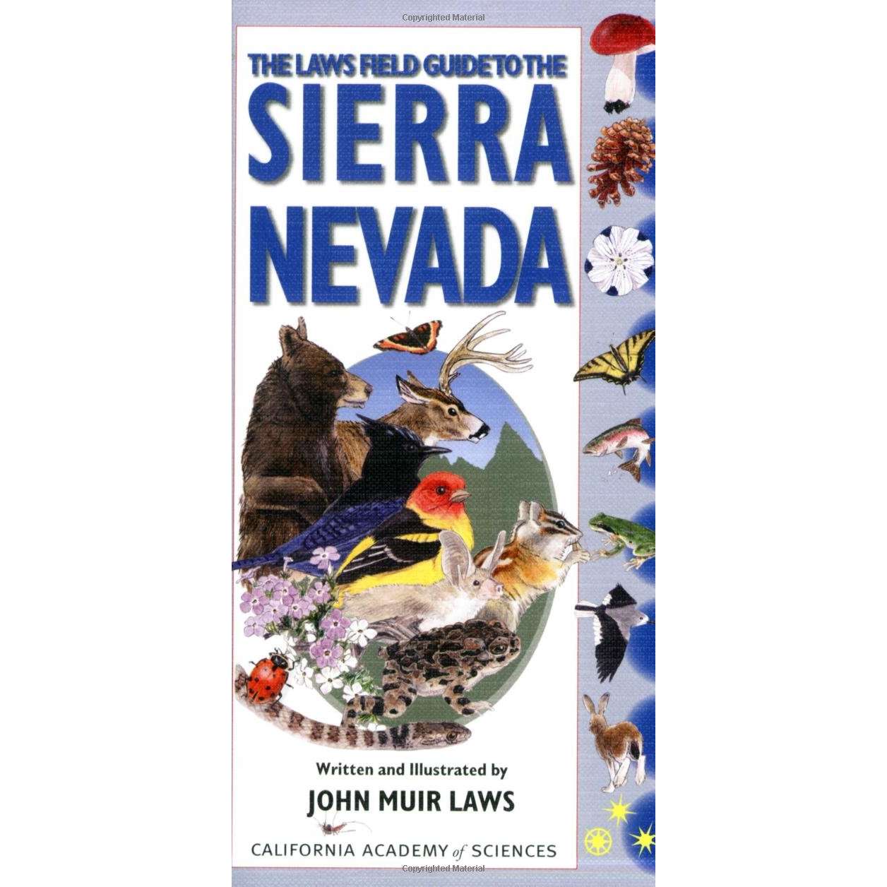 Paradise Clay IPS237 The Laws Field Guide to the Sierra Nevada - Book