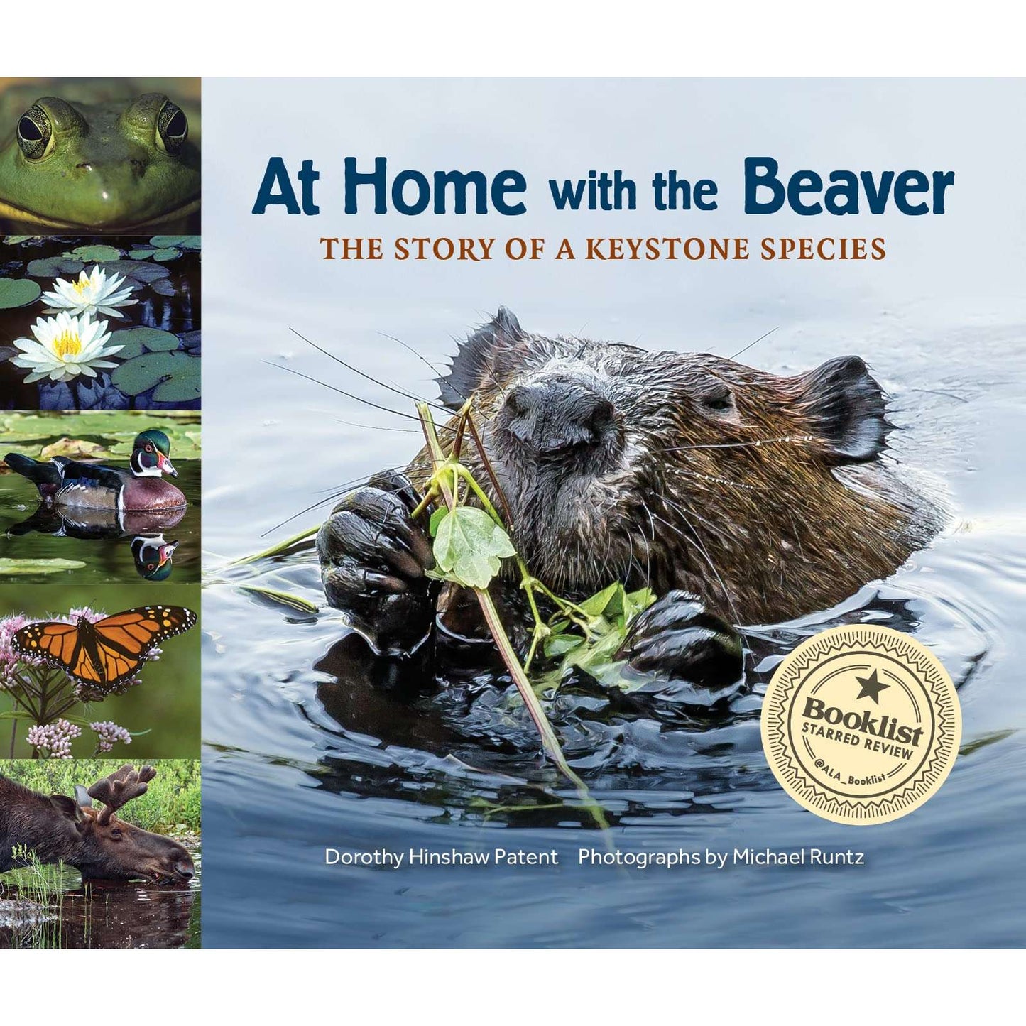Paradise Clay IPS247 At Home with the Beaver: A Story of a Keystone Species - Book