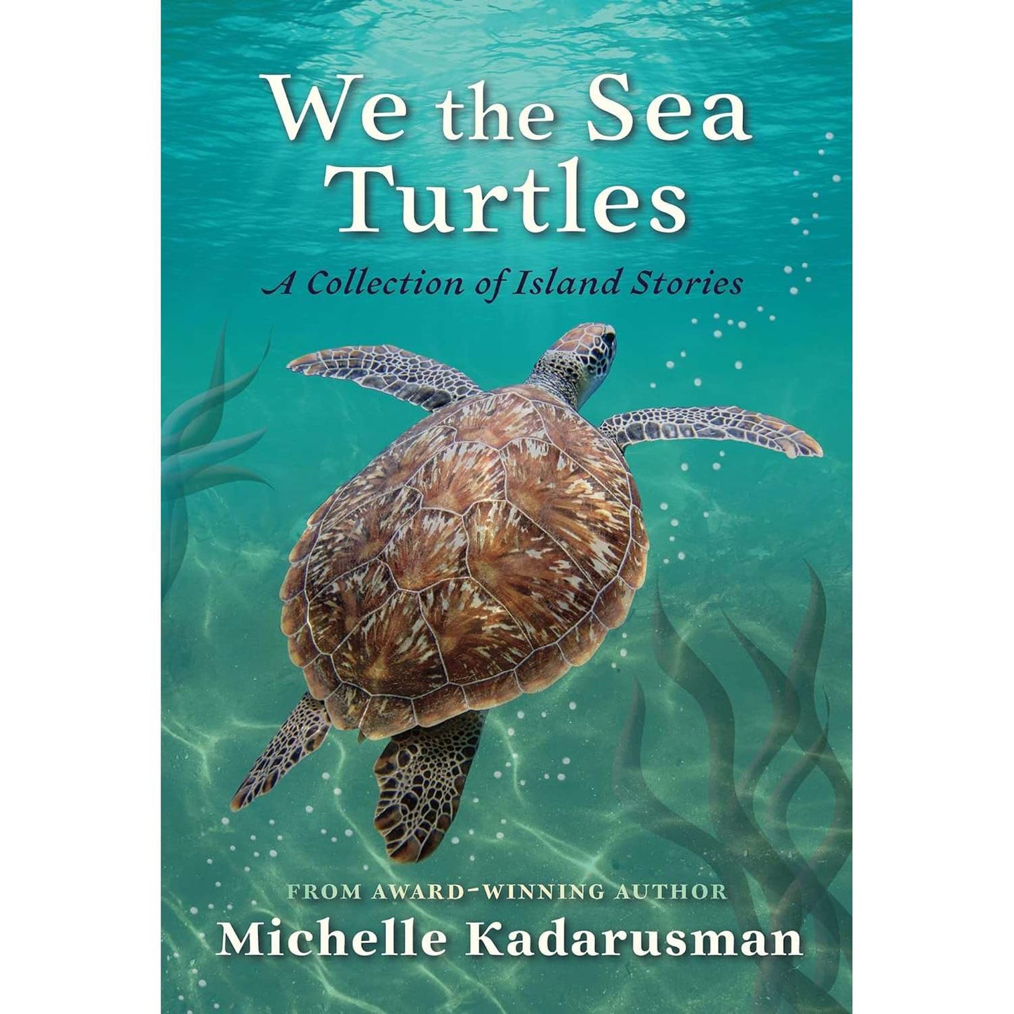 Paradise Clay IPS288 We the Sea Turtles: A Collection of Island Stories - Book