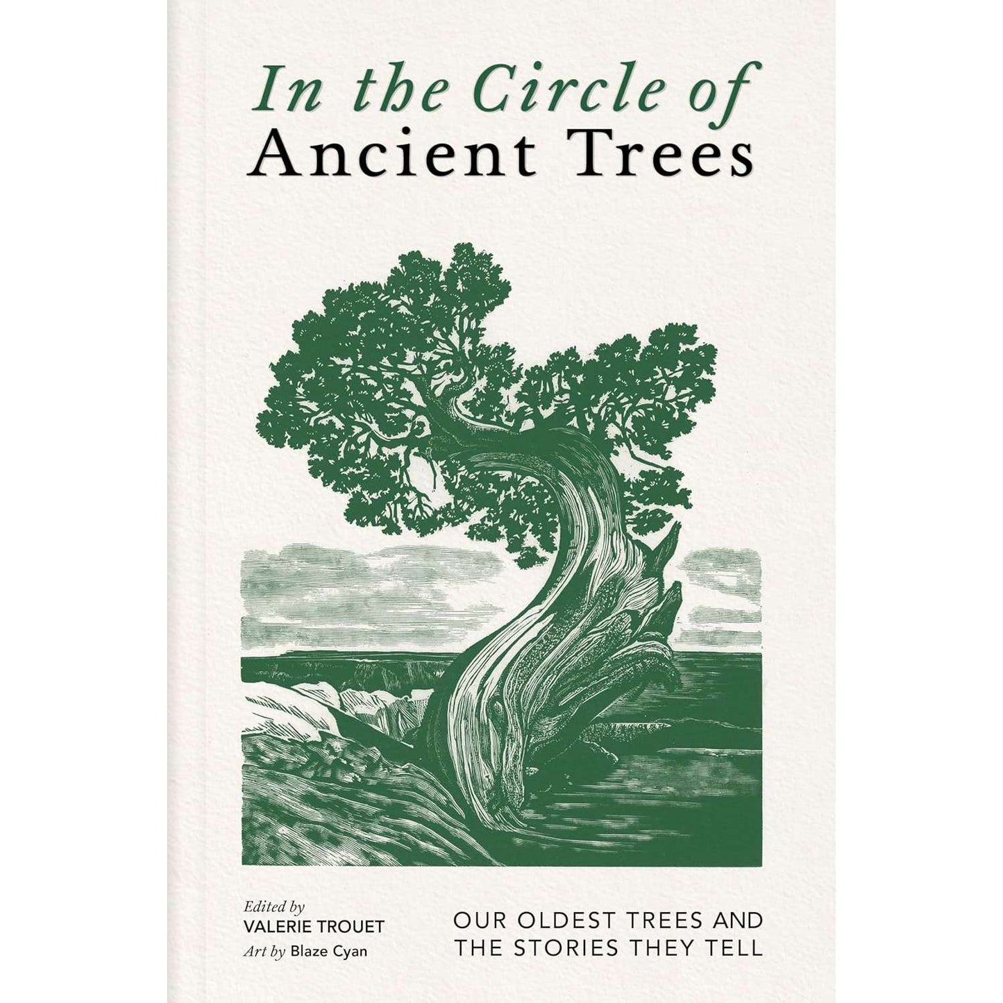 Paradise Clay IPS391 In the Circle of Ancient Trees - Book
