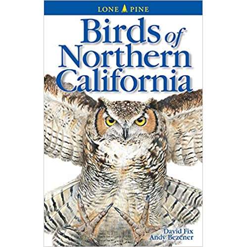Paradise Clay LPP030 Birds of Northern California 2nd ed. Edition - Book