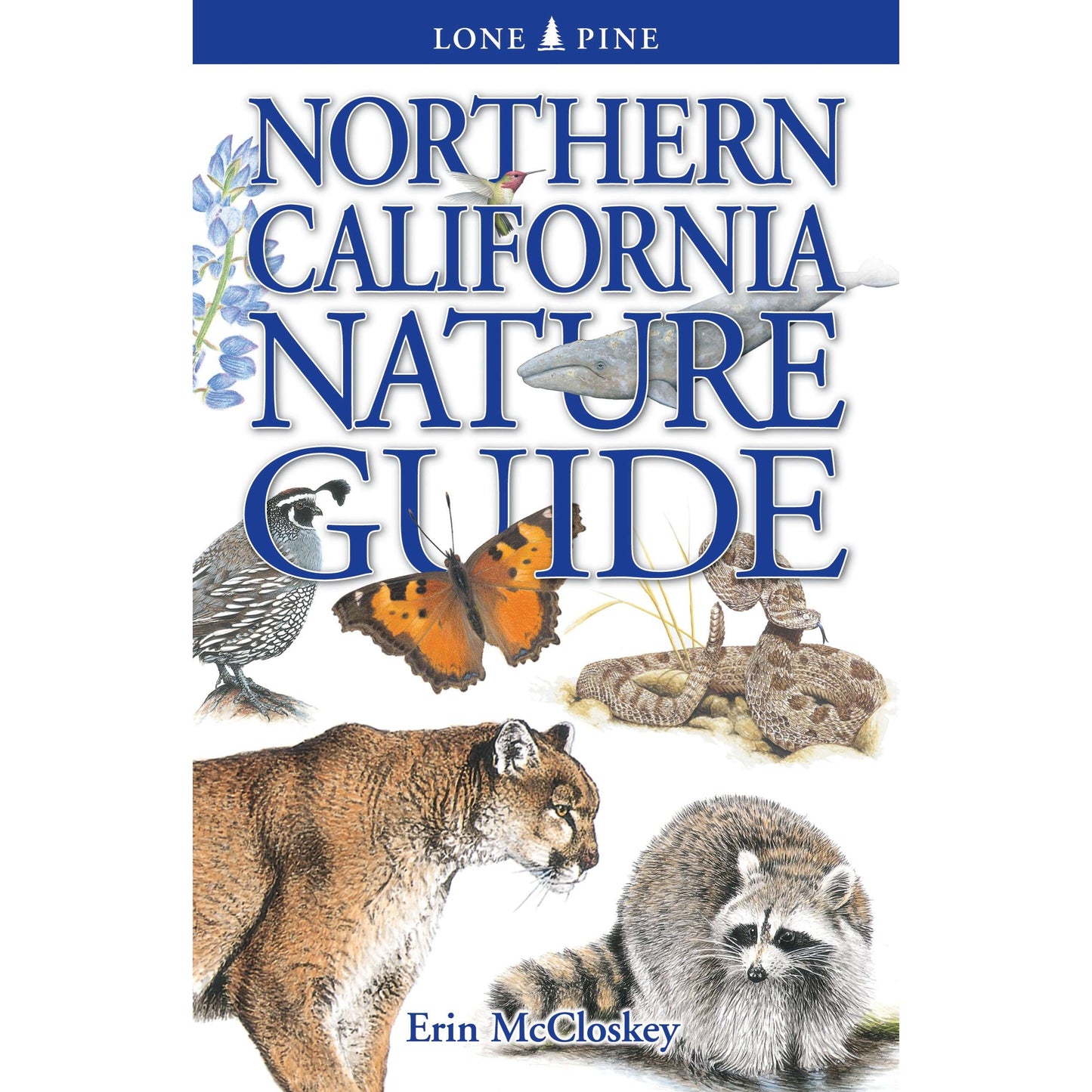 Paradise Clay LPP049 Northern California Nature Guide - Book