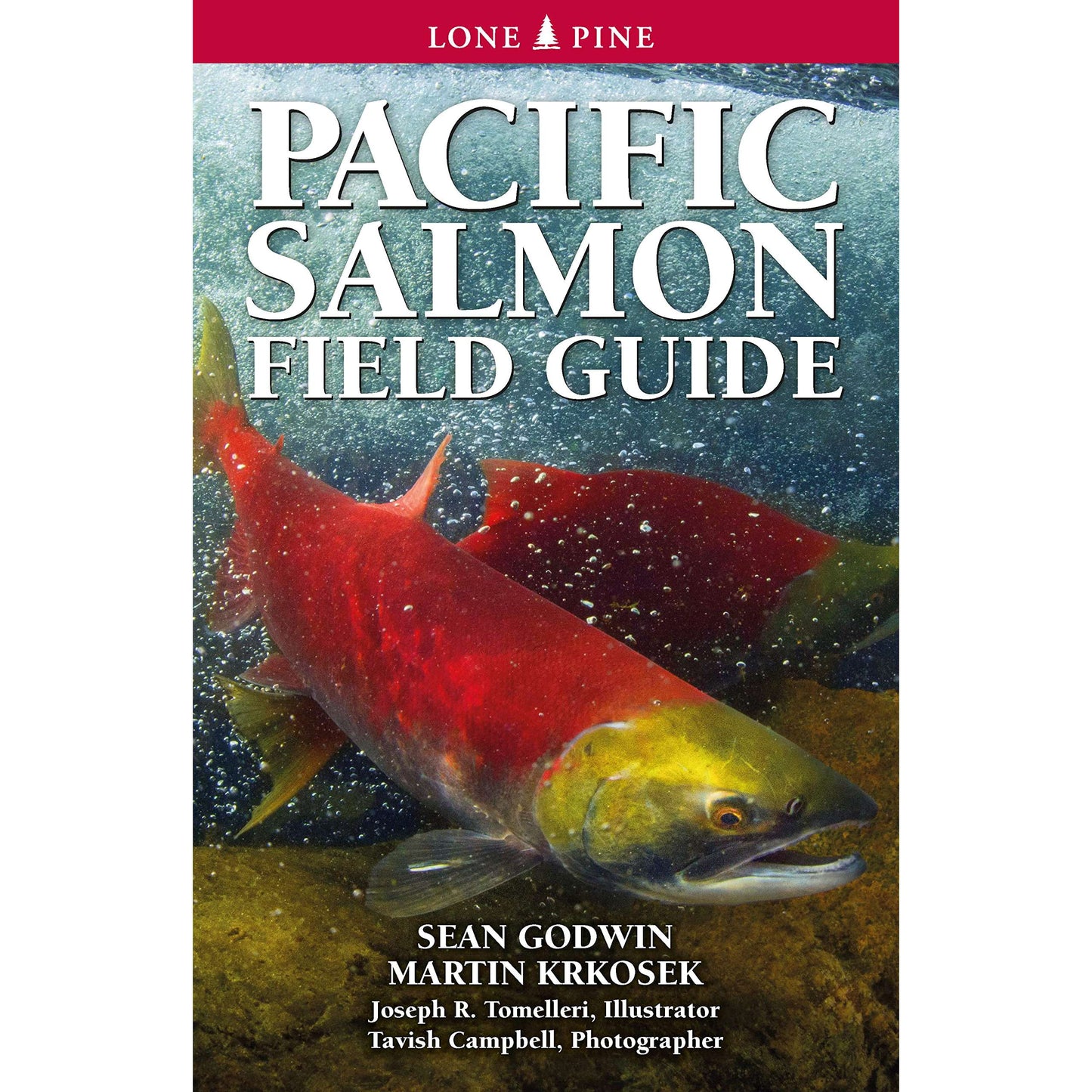 Paradise Clay LPP050 Pacific Salmon Field Guide - Book