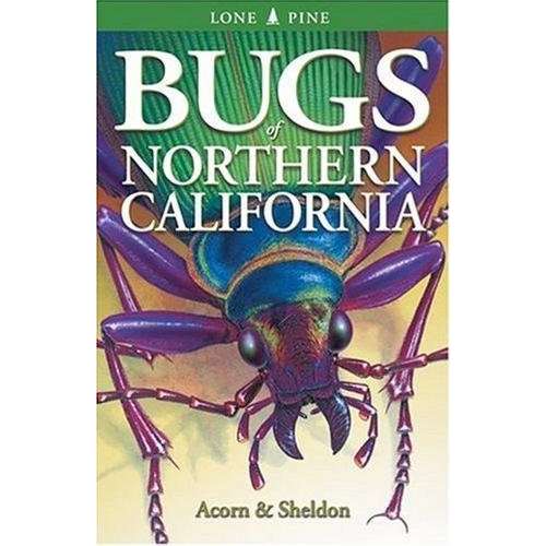 Paradise Clay LPP051 Bugs of Northern California - Book