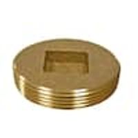 Jones Stephens P58251 2-1/2” Slotted Brass Cleanout Plug with 5/16” Tapped Hole