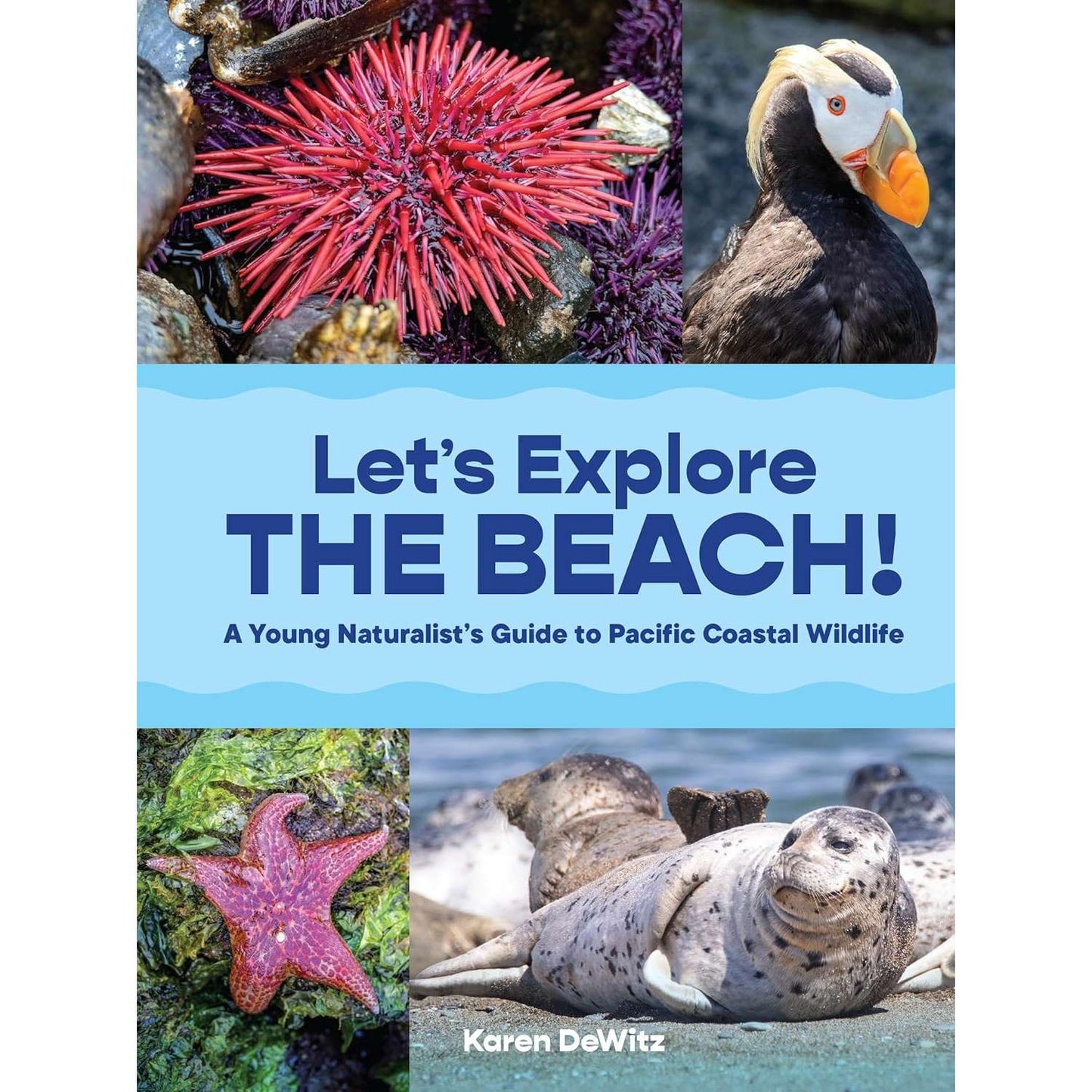 Paradise Clay PGN485 Let’s Explore the Beach! - Book